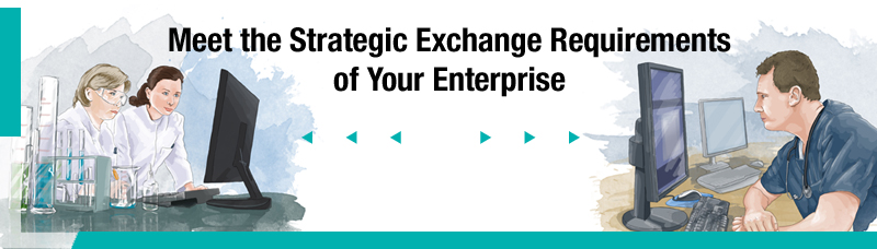 Meet the Strategic Exchange Requirements of Your Enterprise